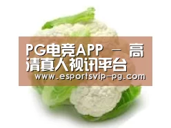 产品名称九