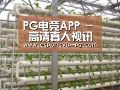 环境展示六