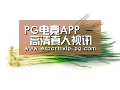 产品名称二